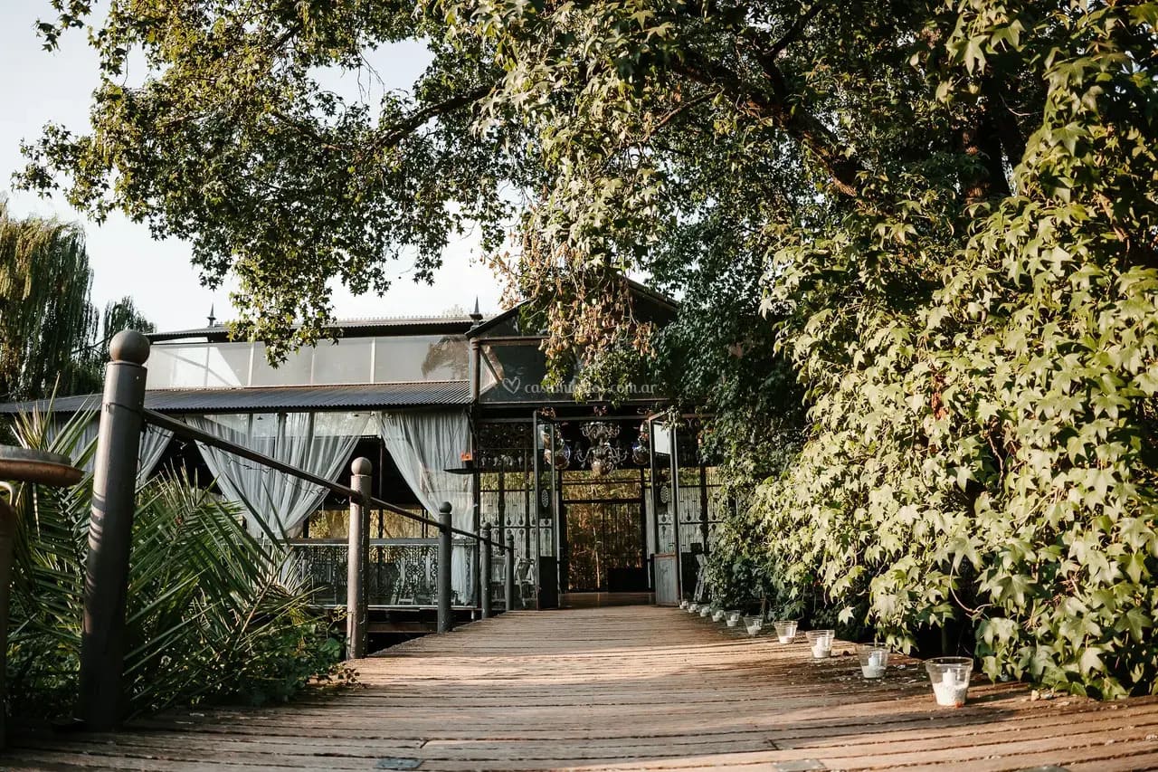 Celebración temática